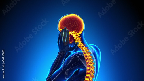 Male Hurt Backbone - Vertebrae Pain