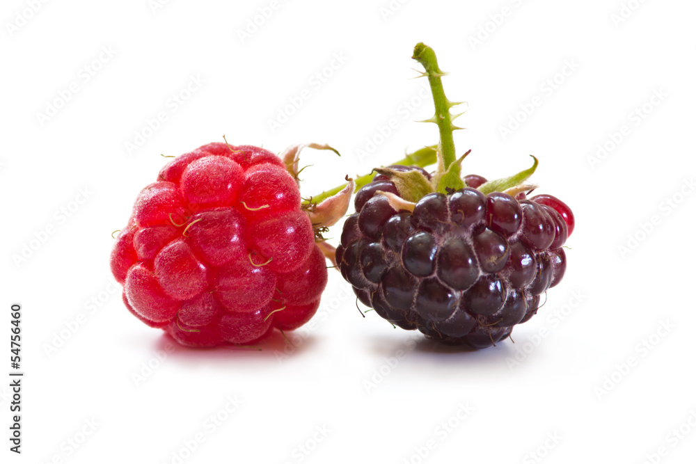 raspberries raspberries