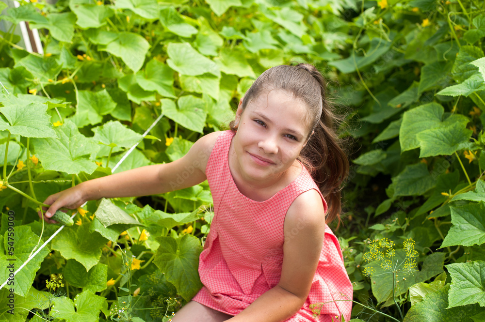 Lovely girl picking cucumber in the greenhouse Lovely girl picking cucumber in the greenhouse