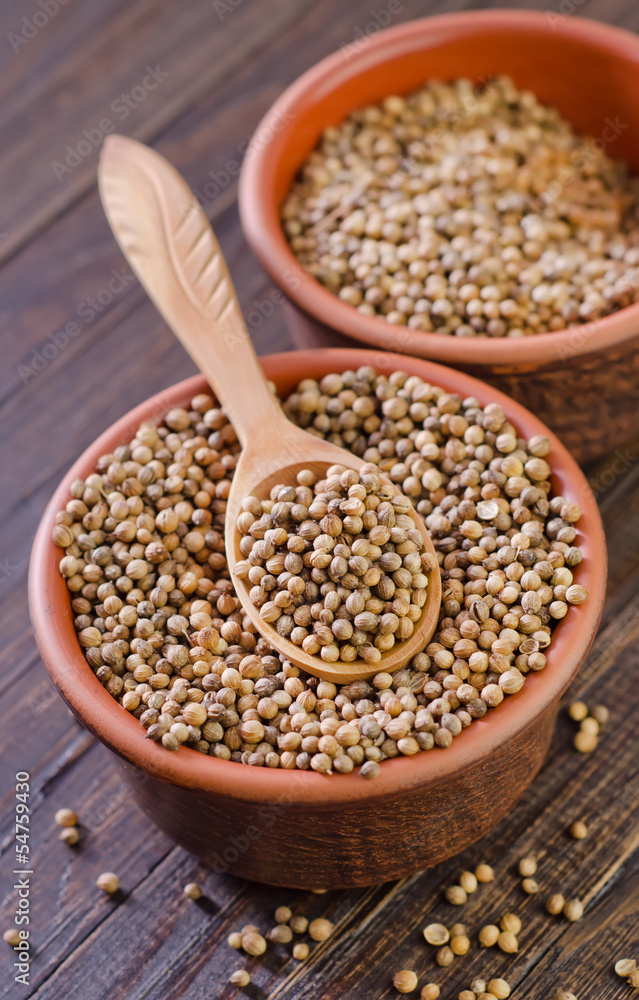 coriander coriander