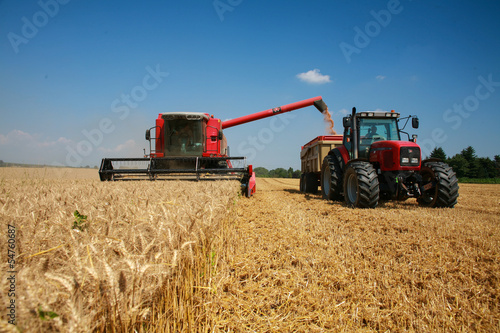 récolte du blé