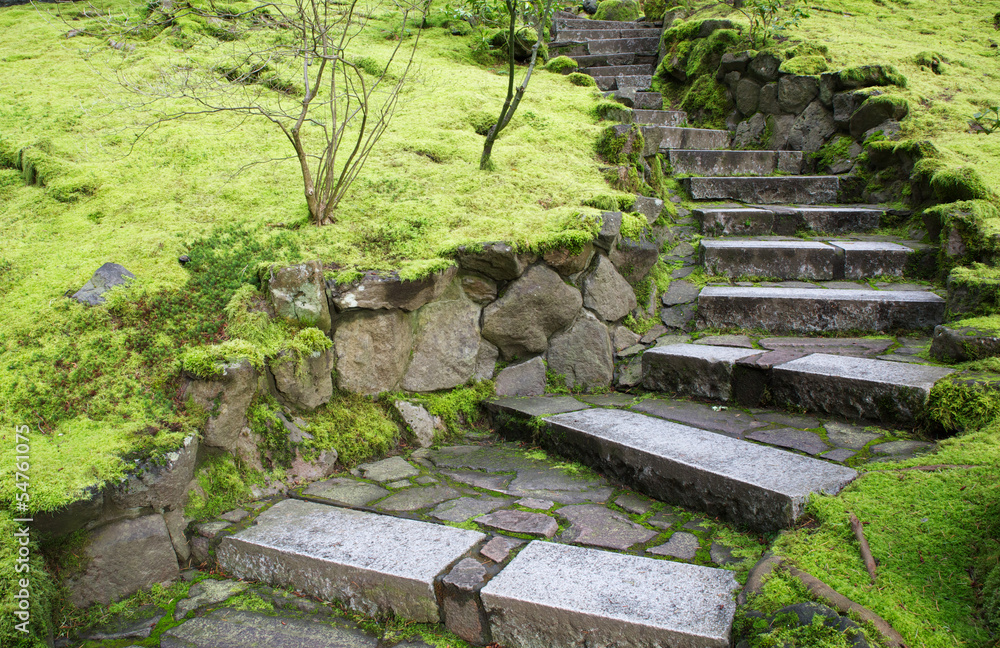 Fototapeta premium Zakrzywione kamienne schody ogrodowe