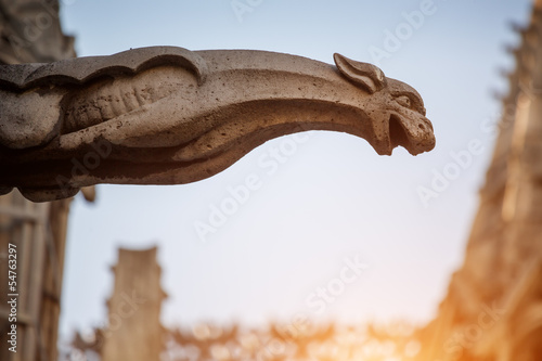 Fototapeta Gargoyle sculpture, Notre Dame Cathedral