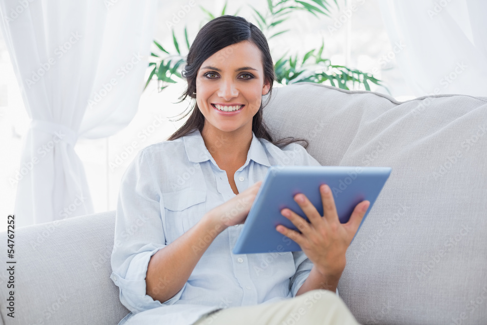 Cheerful brunette with tablet pc Cheerful brunette with tablet pc