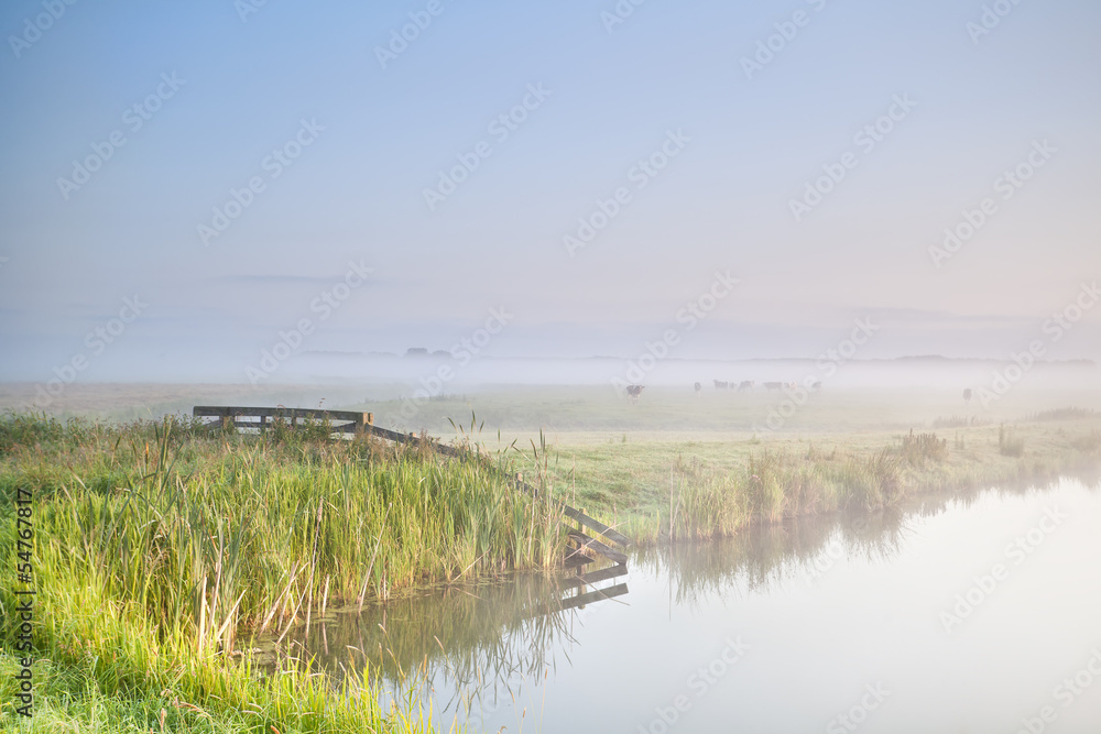 misty morning in farmland
