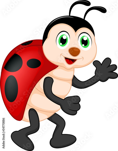 funny lady bug cartoon