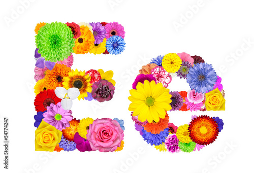Fototapeta Naklejka Na Ścianę i Meble -  Flower Alphabet Isolated on White - Letter E