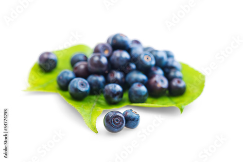 Fresh blueberry on green leaves