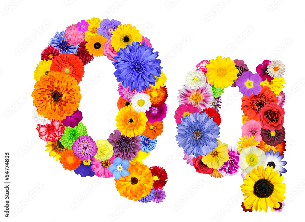 Flower Alphabet Isolated on White - Letter Q Flower Alphabet Isolated on White - Letter Q