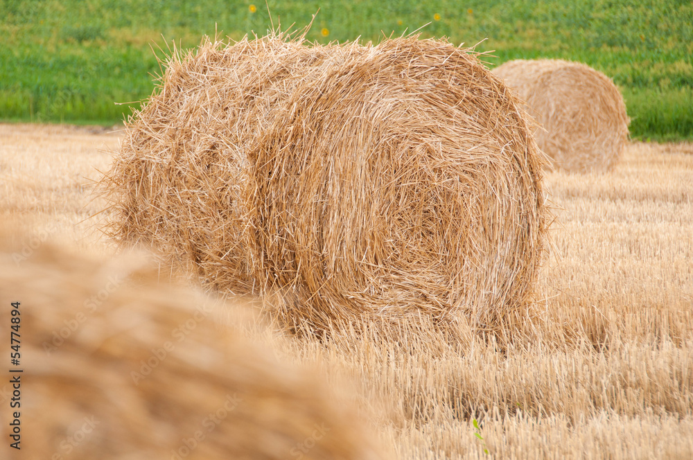 Bundles of straw on the field after harvest. Bundles of straw on the field after harvest.