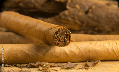 Cigars All Rolled Up With Loose Tobacco Leaves photo
