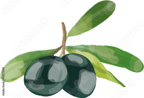 schwarze oliven
