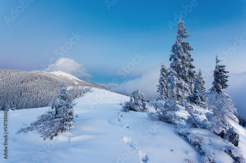winter © Leonid Tit
