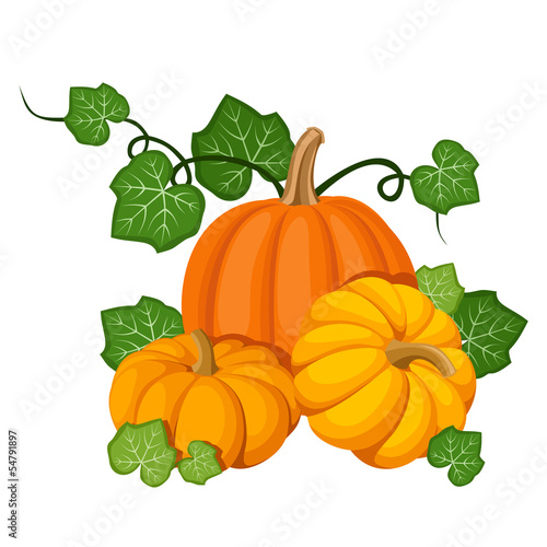 Three orange pumpkins. Vector illustration.