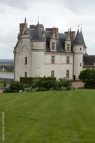 Amboise castle .Valley of the river Loire. France