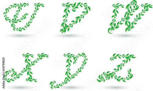Vector set illustration a leaves letter on white.