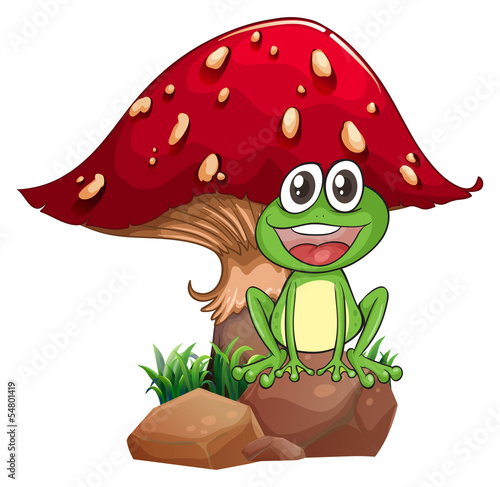 A frog and a mushroom
