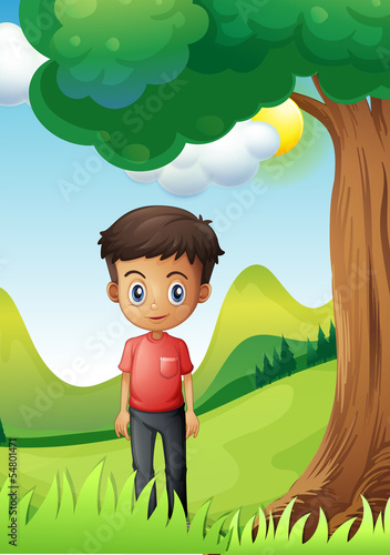 A boy under the shade of a big tree