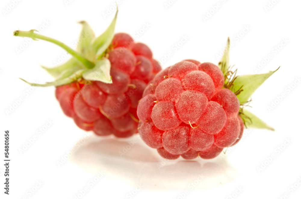 Fresh, ripe raspberries on white Fresh, ripe raspberries on white