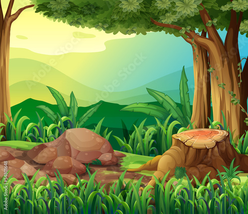 The tree trunk