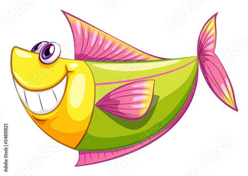 A smiling colorful aquatic fish