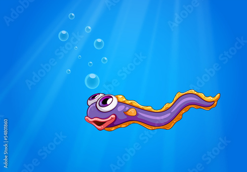 An eel under the sea