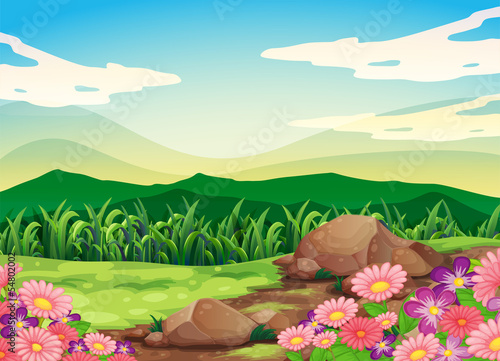 A beautiful scenery