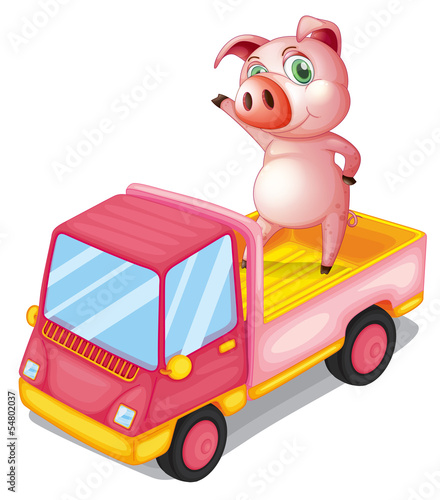 A pig in the truck