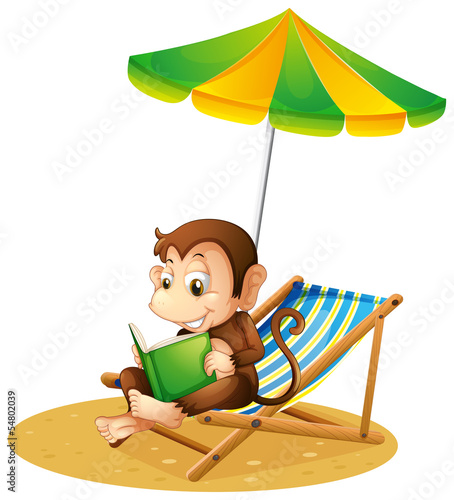 A monkey reading a book at the beach