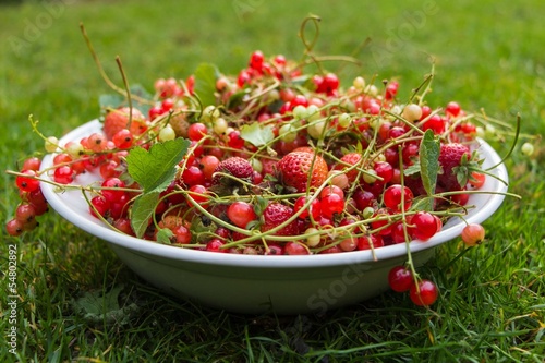 Different kinds of red fruit on a plate on the grass