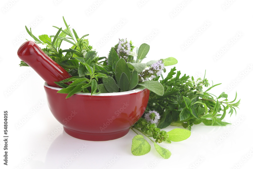 Red porcelain mortar and pestle with fresh herbs Red porcelain mortar and pestle with fresh herbs