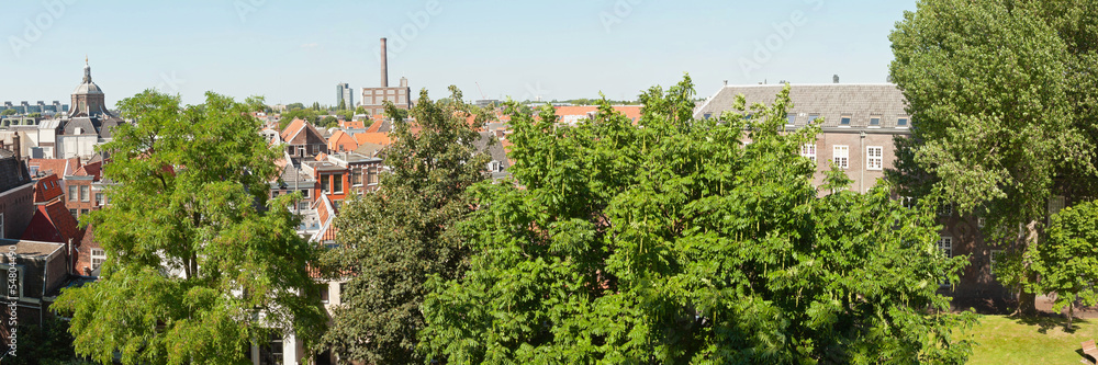 Panoramic photo of roofs and trees of dutch city Leiden in summe Panoramic photo of roofs and trees of dutch city Leiden in summe
