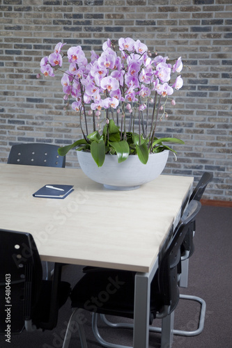 Fototapeta Naklejka Na Ścianę i Meble -  Phalaenopsis in office interior