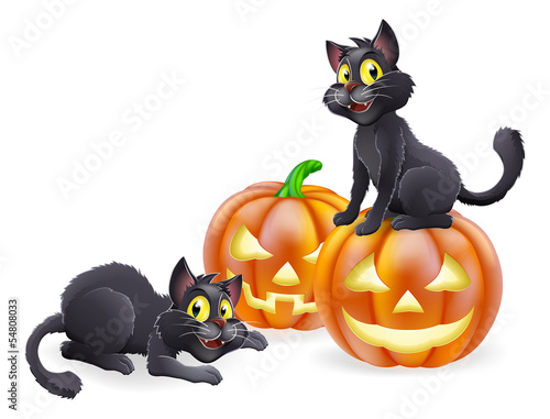 Halloween cats and pumpkins