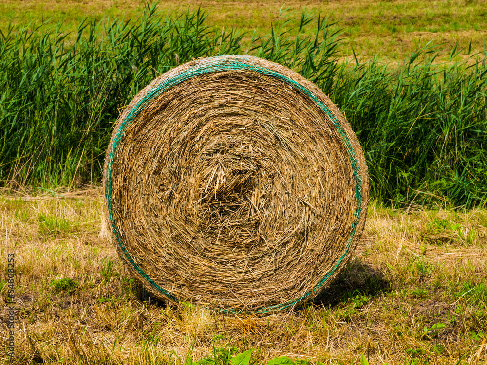 Straw package Straw package