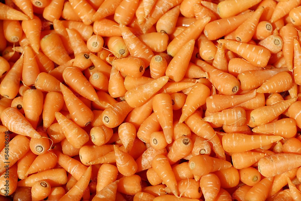 Carrots, fresh young bunch for sale Carrots, fresh young bunch for sale