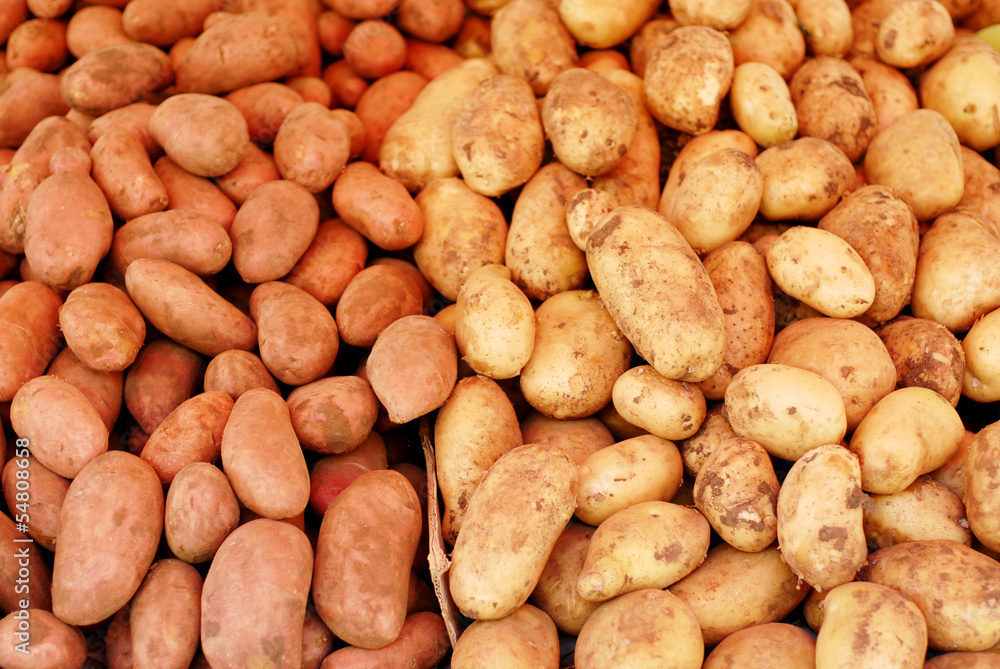 Raw potatoes, different varieties Raw potatoes, different varieties