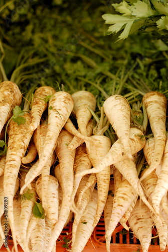 Whole raw parsnips for sale
