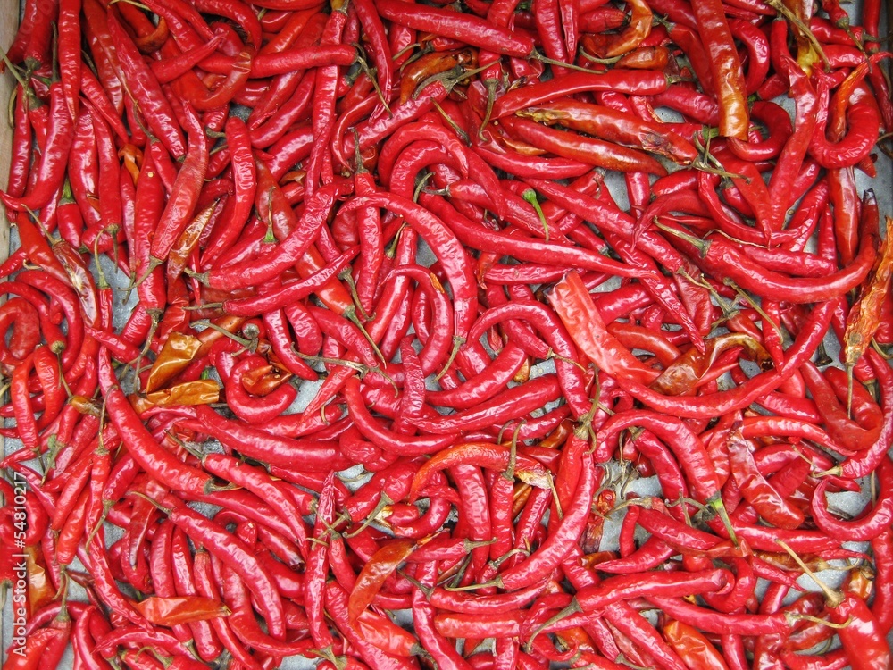 Fototapeta premium chili pepper background at market stock, photo, photograph, picture, image