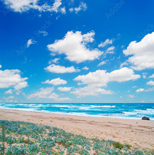 Fototapeta Naklejka Na Ścianę i Meble -  clouds over the shore