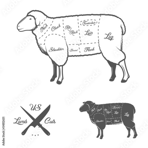 American (US) cuts of lamb or mutton diagram
