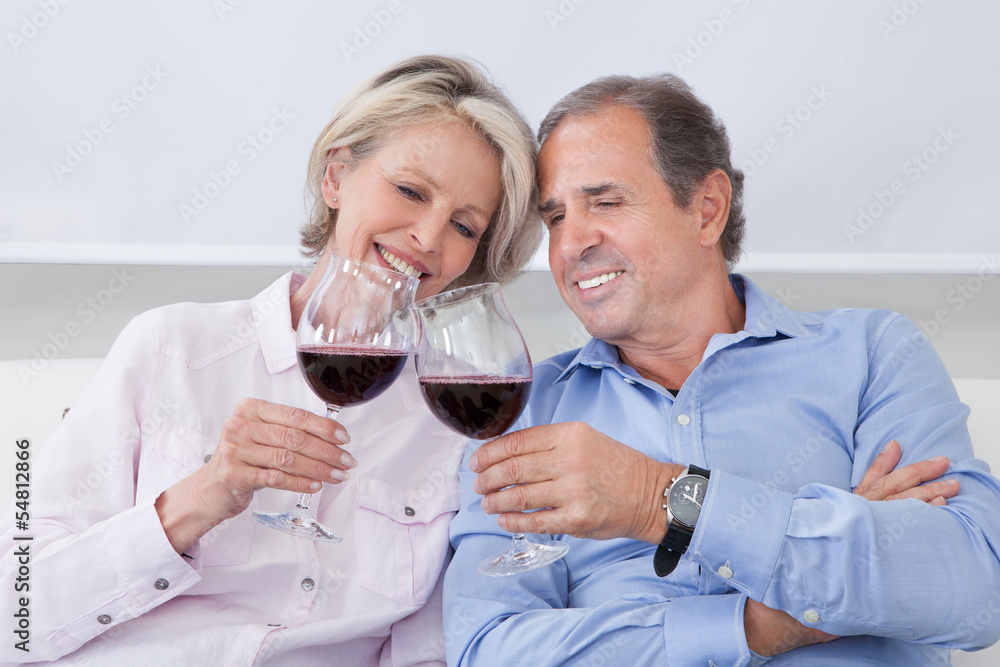 Portrait Of Mature Couple Toasting With Wine Portrait Of Mature Couple Toasting With Wine