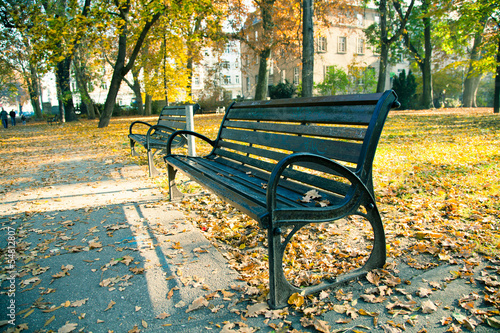 bench in the autumn park