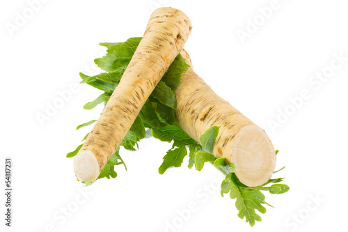 Fotografie, Obraz Horseradish and radish leaves