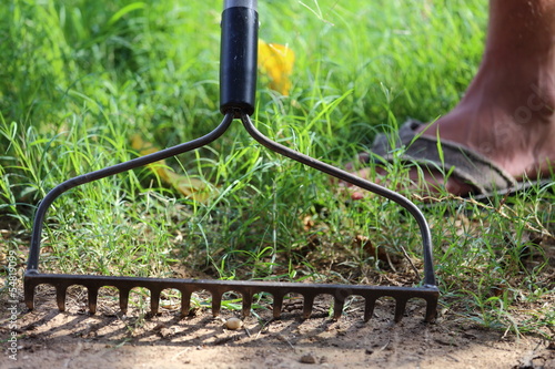 Bow Rake