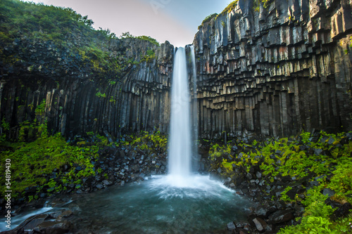 Svartifoss  Black Waterfall  Iceland