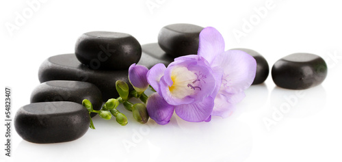 Spa stones and purple flower, isolated on white