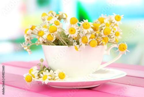 Bouquet of chamomile flowers in cup  on bright background