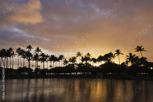 beautiful hawaiian sunset