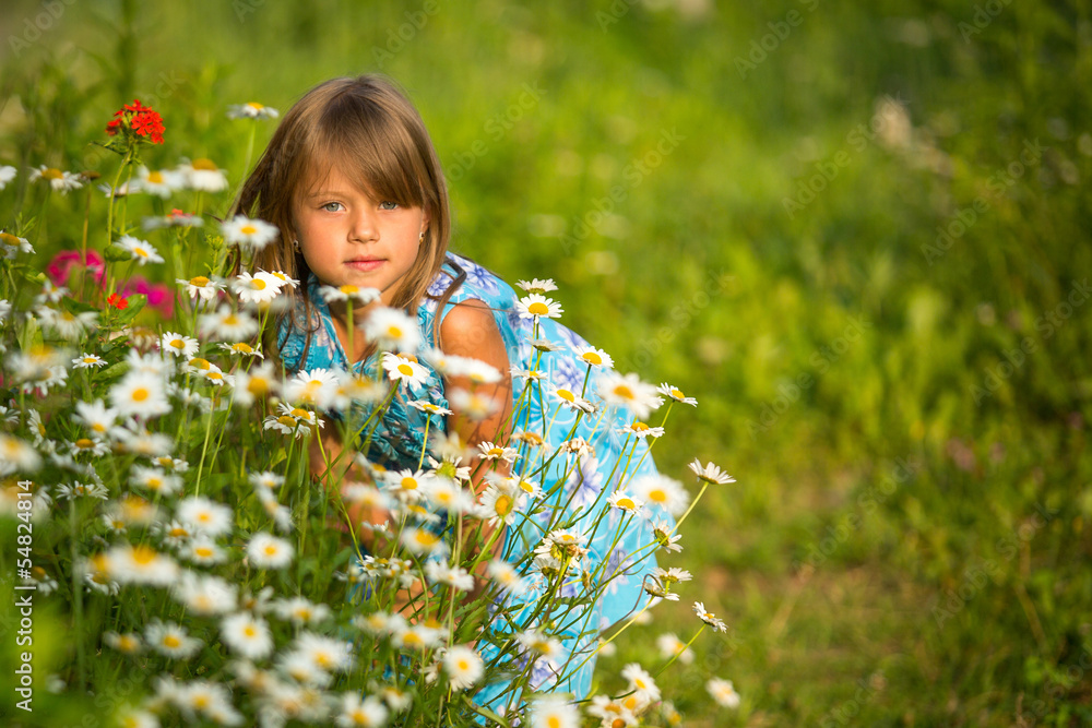 Portrait of little girl among wildflowers Portrait of little girl among wildflowers